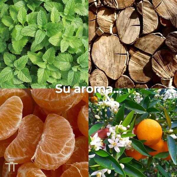 Art Of Universe Lattafa Perfumes para Hombres y Mujeres