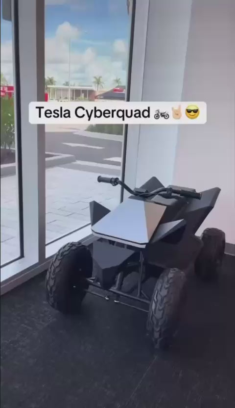 CUATRIMOTO TESLA&nbsp;